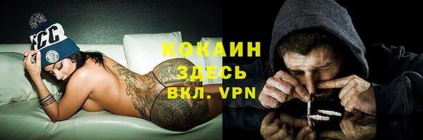 ALPHA PVP Куйбышев