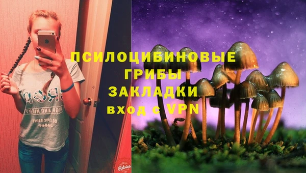 ALPHA PVP Куйбышев