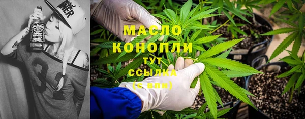 дмт Лабытнанги