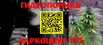 шишки Нальчик