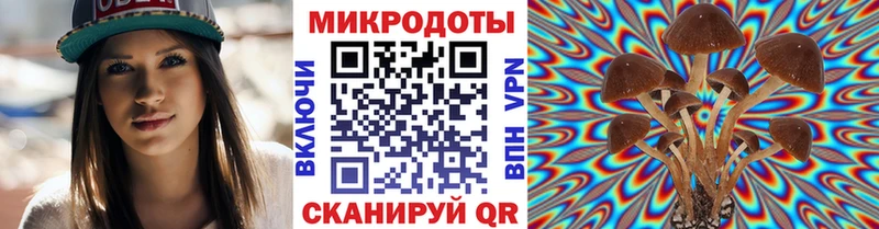 Псилоцибиновые грибы прущие грибы Пушкино