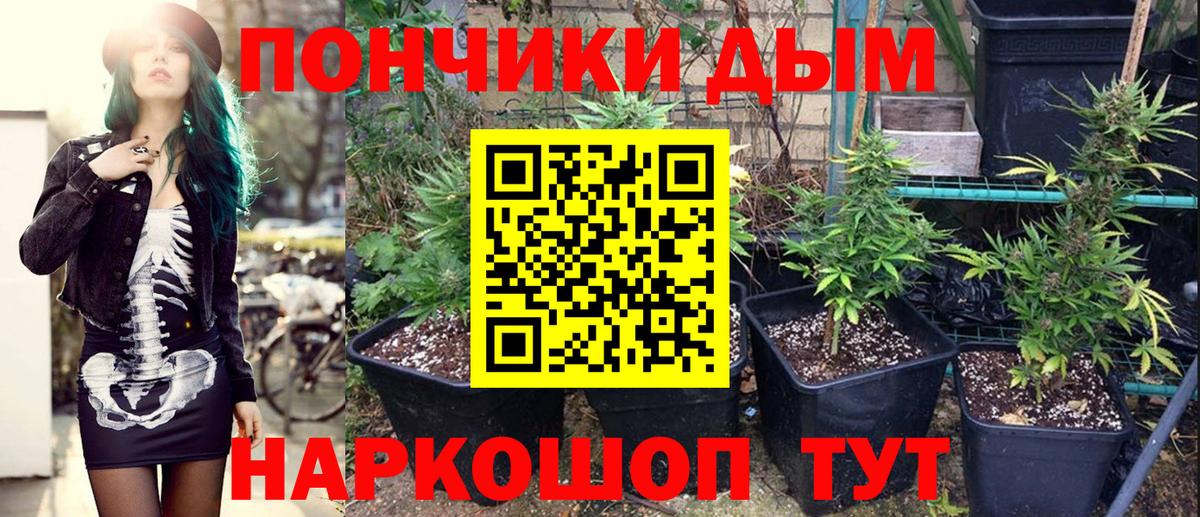 Канабис тримм  Конопля ГИДРОПОН  Бошки Шишки Ganja  Шишки марихуана конопля  Пушкино  Вход с VPN 